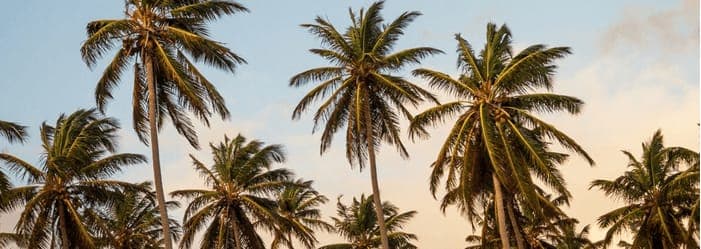Building an ADU: Financing Options in Retirement