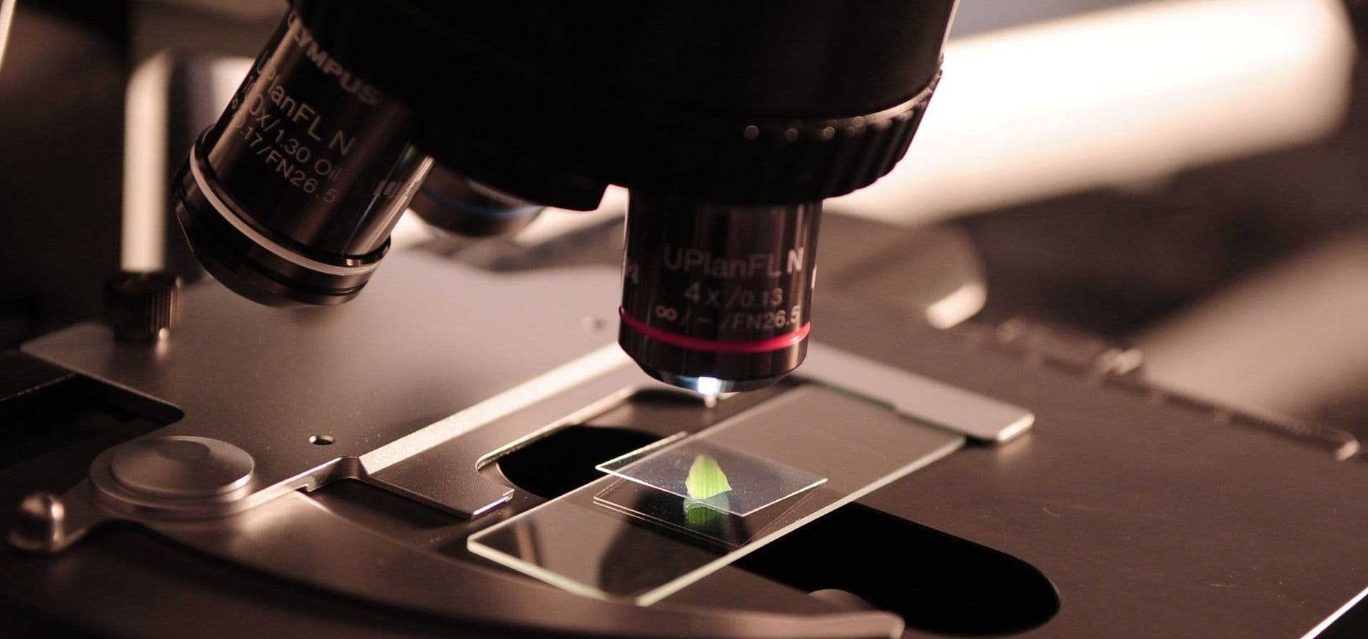 Laboratory microscope with a specimen slide on the stage